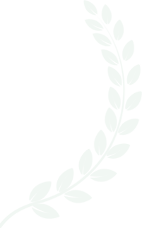 synoxvault.com