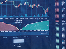 synoxvault.com