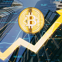 synoxvault.com